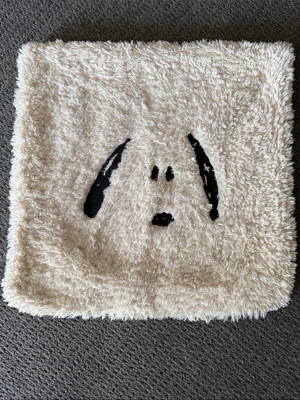 Pottery Barn Peanuts Snoopy Cozy Pillow Cover sham 18” square